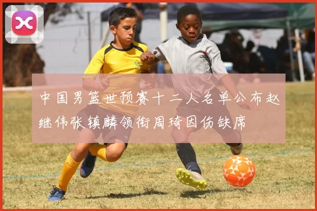 中国男篮世预赛十二人名单公布赵继伟张镇麟领衔周琦因伤缺席