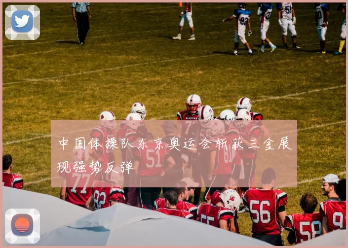 中国体操队东京奥运会斩获三金展现强势反弹