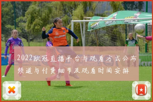 2022欧冠直播平台与观看方式公布频道与付费细节及观看时间安排