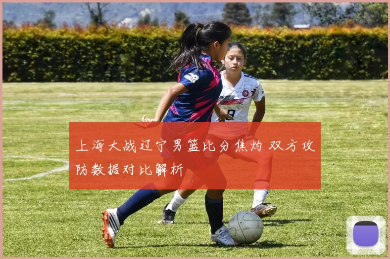 上海大战辽宁男篮比分焦灼 双方攻防数据对比解析