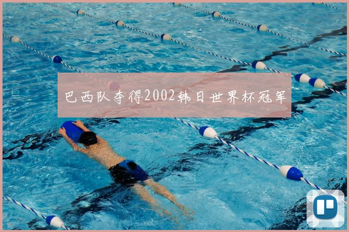 巴西队夺得2002韩日世界杯冠军