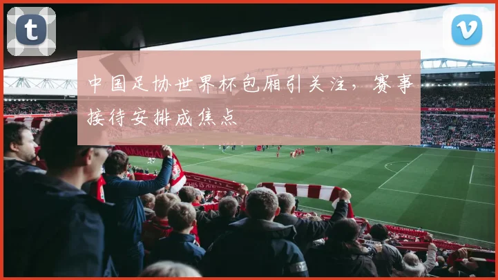 中国足协世界杯包厢引关注,赛事接待安排成焦点